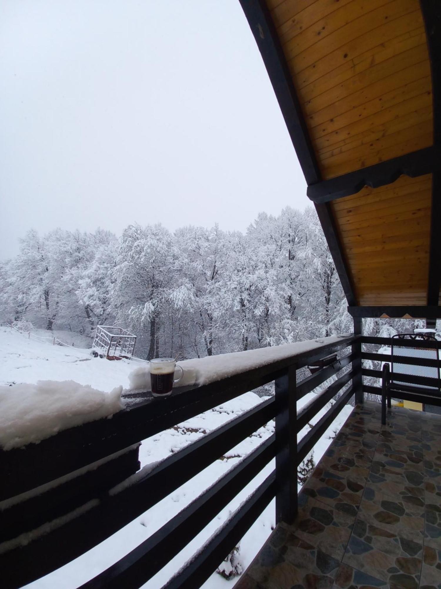 Pensiunea Natura Sadu Sibiu Exterior foto